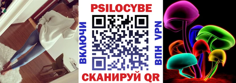 ссылка на мегу зеркало  Белгород  Галлюциногенные грибы Cubensis  что такое  